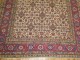 Antique Bakshaish Rug No. 6826