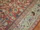 Antique Persian Sultanabad Rug No. 7333