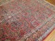 Red Blue Sarouk Rug No. 8588