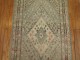 Antique East Turkestan Khotan Runner No. 8800