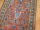 Rust Salmon Persian Runner No. 9978