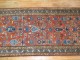 Rust Salmon Persian Runner No. 9978