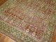 Shabby Chic Persian Tree Rug No. j1181