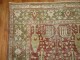 Shabby Chic Persian Tree Rug No. j1181