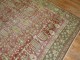 Shabby Chic Persian Tree Rug No. j1181