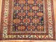 Northwest Persian Rug No. j1241