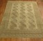 Neutral  Asian Ersari Rug No. j1630