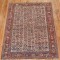 Antique Morghi Chicken Shiraz Rug No. j1976