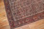 Antique Morghi Chicken Shiraz Rug No. j1976