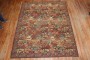 Contemporary Turkish Besserabian Floral Autumn Carpet No. j2086