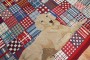 Rare Room Size Large Labrador Dog American Hooked Rug No. j2195