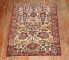 Botanical Turkish Carpet No. j2513