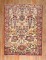 Botanical Turkish Carpet No. j2513