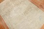 Pale Persian Malayer Rug No. j2747