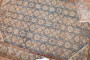 Persian Malayer Rustic Carpet No. j2821