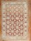 Rustic 19th Century Antique Caucasian Shirvan No. j2891