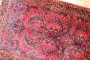 Red Navy Sarouk Rug No. j3152