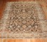 Chocolate Brown Bakhtiar Rug No. j3515