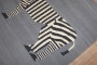 Persian Zebra Kilim Wall Hanging No. j3636