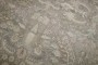 Large Indian Gray Green Antique Rug No. j4165