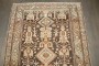 Brown Persian Kurd Bakhtiari  No. j4205