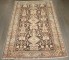 Brown Persian Kurd Bakhtiari  No. j4205