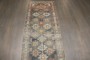 Beautiful Malayer Runner No. j4926
