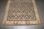 Antique Indian Agra Rug No. j5013