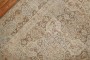 Soft Brown Persian Persian Rug No. r2196