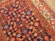 Malayer Gallery Rug No. r3433