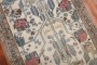 Antique Botanical Hamedan Rug No. r5590