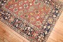 Early 20th Century Shirvan Rug No. r5717