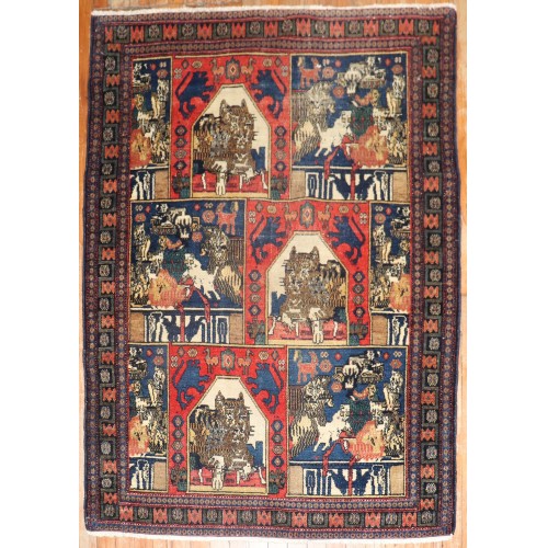 Persian Antique Cat Senneh Rug No. 10509