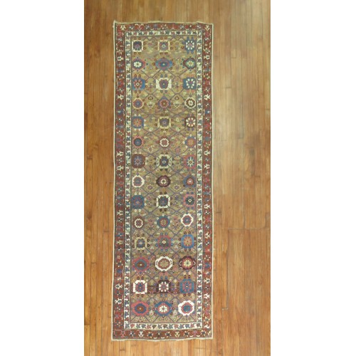 Camel Bakshaish Runner No. 7078