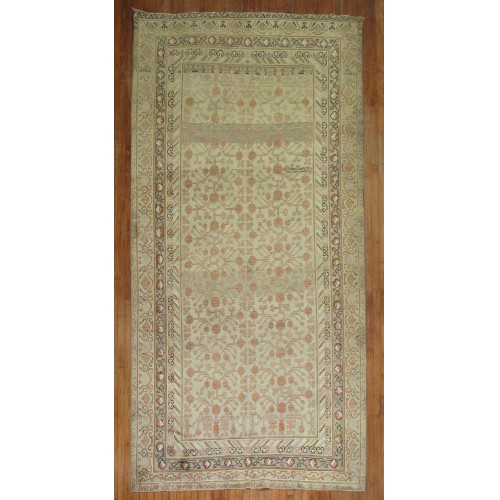 Pomegranate Antique Khotan Gallery Rug No. 9716