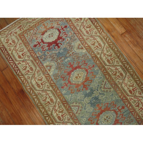 Persian Malayer Narrow Small Runner No. j1370