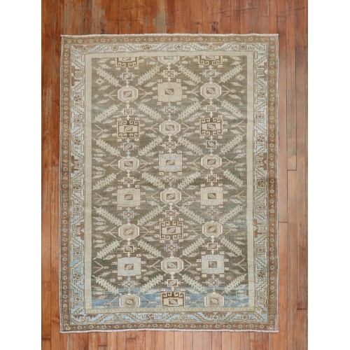 Earth Tone Persian Malayer Rug No. j1973