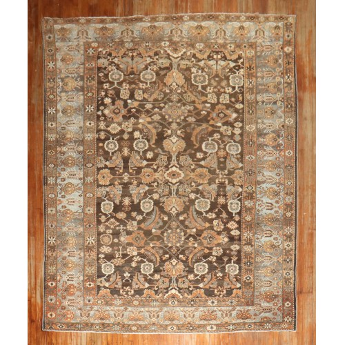 Chocolate Brown Bakhtiar Rug No. j3515