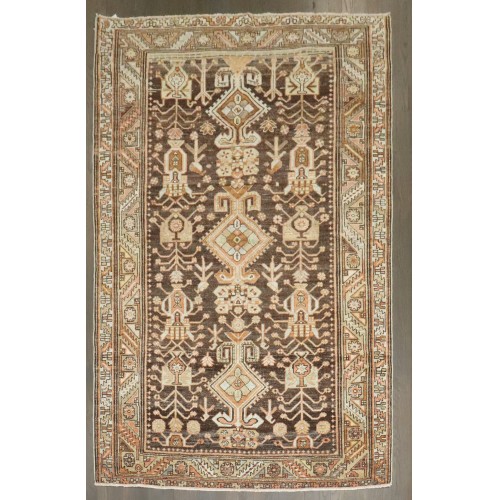Brown Persian Kurd Bakhtiari  No. j4205