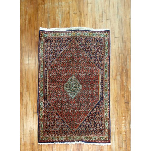 Vintage Bidjar Rug No. r180