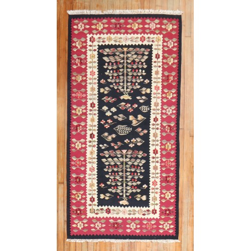 Besserabian Kilim No. r5570